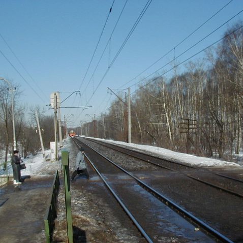 Dolgoprudny: Winter, Cat & Bird