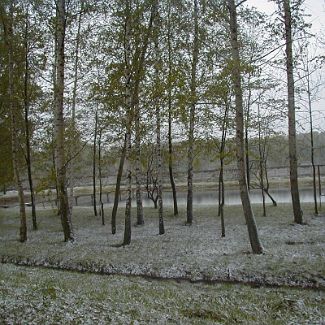 Пруд на Восточной улице в Долгопрудном