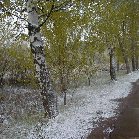 Last snowfall in 1999 Последний весенний снегопад 12 мая 1999 года