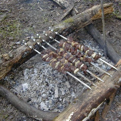 Picnic near lake Krugloe Пикник в лесу около озера Круглое в Подмосковье