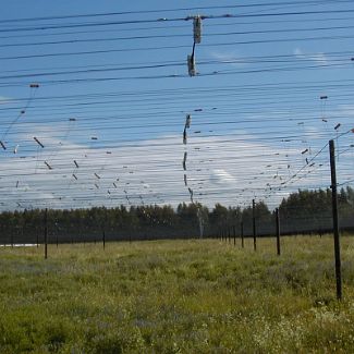 Пущинская Радиоастрономическая Обсерватория