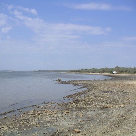 Odessa: Kuyalnik Estuary: Family shots Одесса: Куяльник