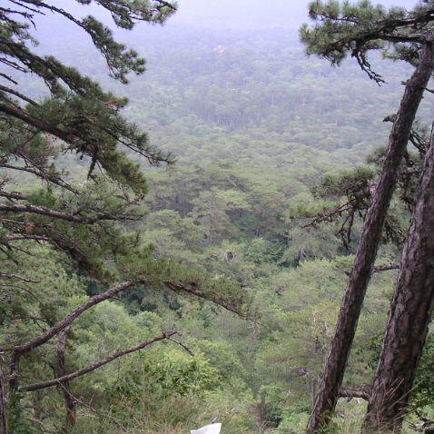 Crimea: Mt. Aj-Petri Крым: Гора Ай-Петри