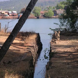 India: Goa: River Sal