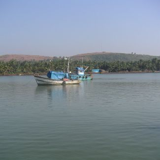 India: Goa: River Sal