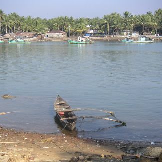 India: Goa: River Sal