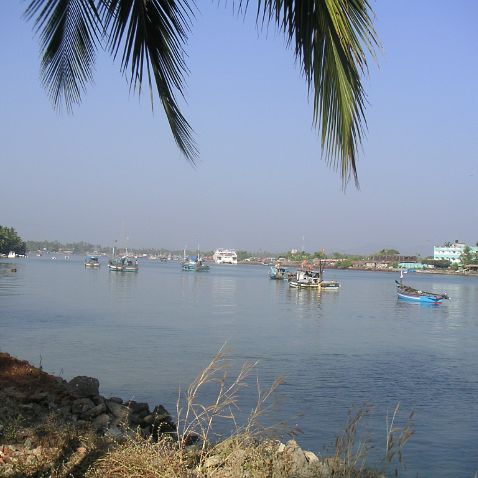 India: Goa: River Sal