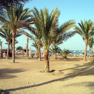 Egypt: Makadi: Royal Azur beach