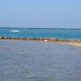 Heron on the Royal Azur beach