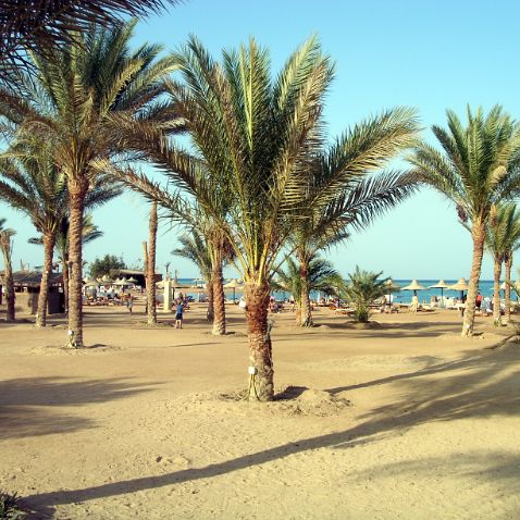 Egypt: Makadi Bay & Royal Azur beach Египет: Красное Море: Бухта Макади и пляж отеля Royal Azur