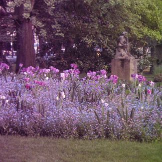 Jardin du Luxembourg