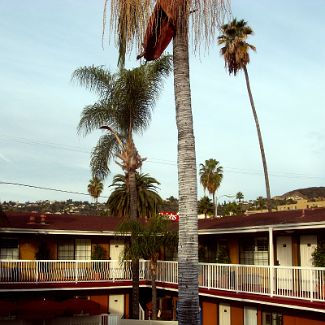 Saharan Motor Hotel Hollywood