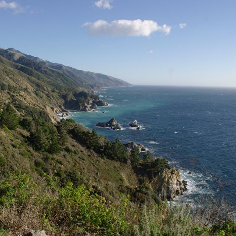 California: Elephant Seals of Piedras Blancas & Cabrillo Highway Калифорния: Морские слоны на пляже в Пидрас Бланкас и автодорога SR 1 (Cabrollo Hwy)