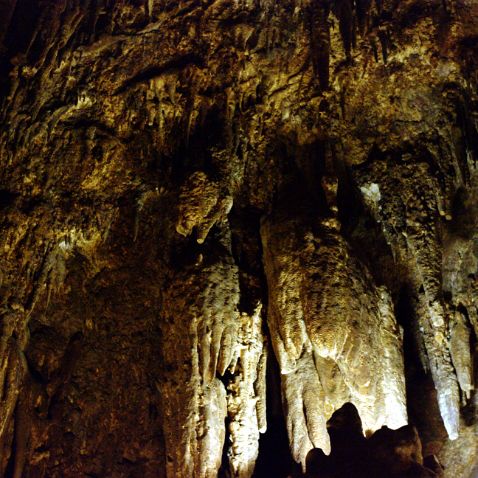 Arizona: Colossal Cave Mountain Park Аризона: Горный парк 