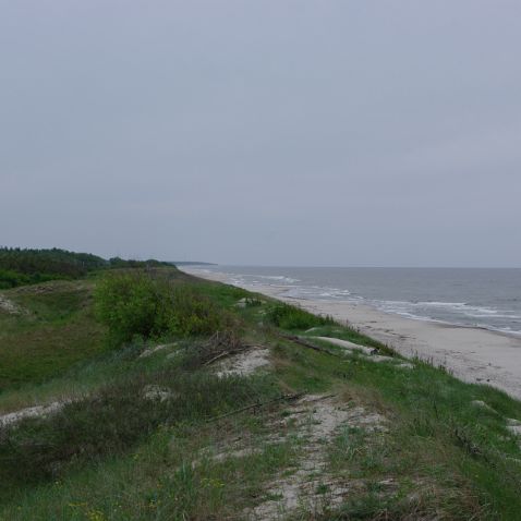 The Curonian Spit: Sand Dunes & Zelenogradsk