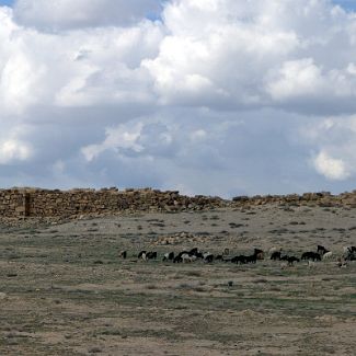 Jordan: Umm Al-Rasas ruins أم الرّصاص‎