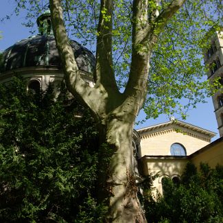 Friedenskirche Фриденскирхе — лютеранская церковь в дворцовом парке Сан-Суси в Потсдаме