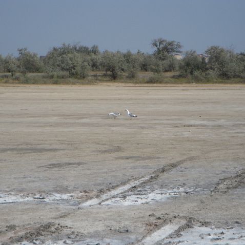 Odessa: Kuyalnik Estuary Украина: Куяльницкий лиман