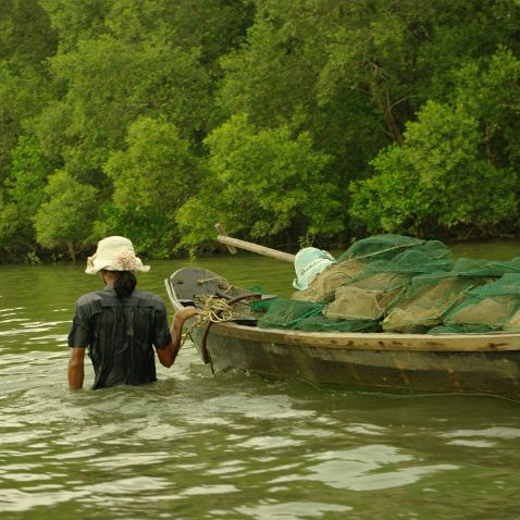 Việt Nam: Cần Giờ Biosphere Reserve Вьетнам, Хошимин, биосферный заповедник Cần Giờ