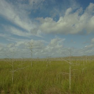 Everglades National Park