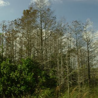 Everglades National Park