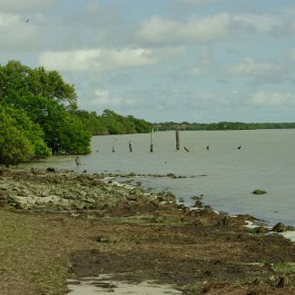 Florida Bay