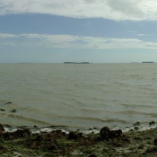 Florida Bay panorama Panoramic view on Florida Bay from Flamingo Visitor Center (Everglades National Park, FL) Панорамный вид на Флоридский залив с южной оконечности полуострова...