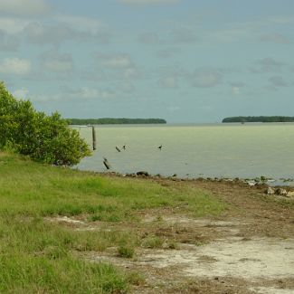 Florida Bay