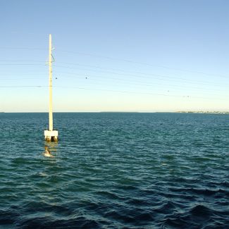 Florida Bay view Panoramic view on Florida Bay from Florida Keys | Панорама Флоридского залива с одного из островов архипелага Флорида-Кис