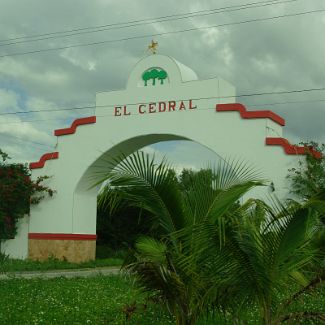 El Cedral