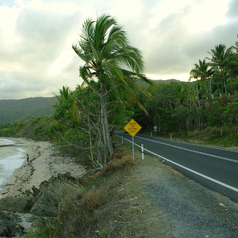 Australia: Queensland: Captain Cook Highway from Mossman to Palm Cove