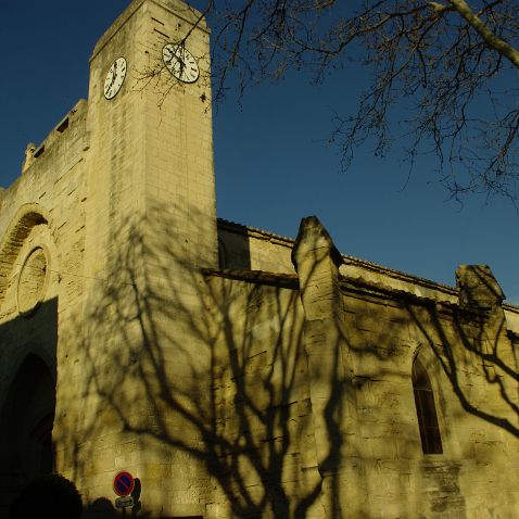 France: Languedoc-Roussillon: Aigues-Mortes