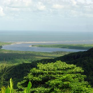 Mouth of the Daintree River Australia: Queensland: Daintree National Park: Mouth of the Daintree River panorama