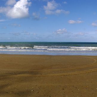 Cow Bay Beach panorama Australia: Queensland: Daintree National Park: Cow Bay Beach