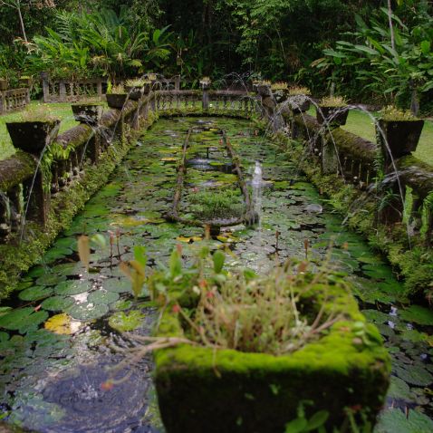 Australia: Queensland: Paronella Park