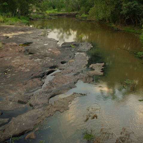 Australia: Queensland: Atherton Tablelands: Tinaroo