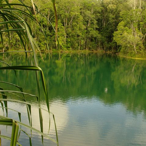 Australia: Queensland: Atherton Tablelands: Lake Eacham