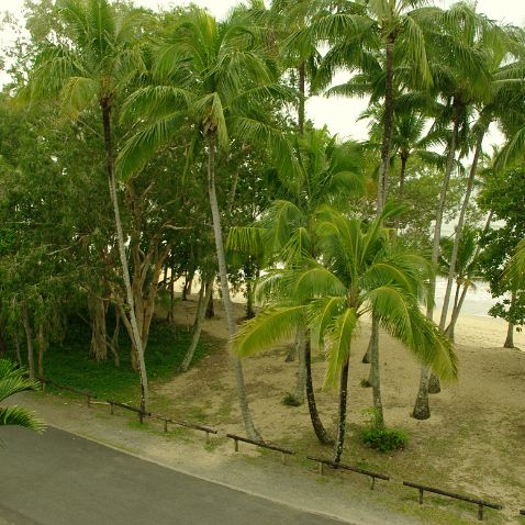 Australia: Queensland: Clifton Beach