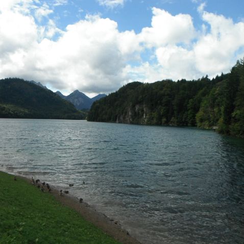 Germany: Bavaria: Ostallgäu: Alpsee lake