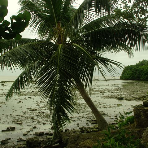 Mexico: Quintana Roo: Chetumal Мексика: Четумаль - столица штата Кинтана-Роо на побережье Карибского моря