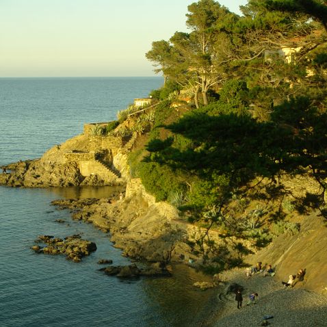 France: Languedoc-Roussillon: Pyrénées-Orientales: Collioure