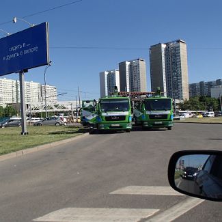 Выслеживают добычу на Юго-Западной