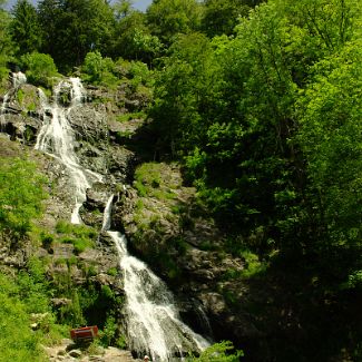 Todtnauer Wasserfall