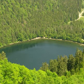 Feldsee Озеро Фельд