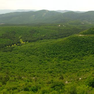 Панорамный вид с Мыса Тешкли-Бурун на восток Слева видна балка Джан-Дере