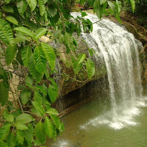 Việt Nam: Lâm Đồng: Đà Lạt: Thác Prenn Вьетнам: Ламдонг: Водопад и парк развлечений Prenn на окраине Далата. Тут можно покататься на лодках, слонах и страусах....