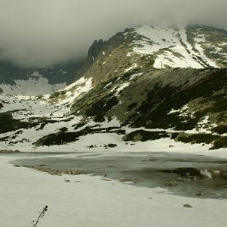 Skalnaté pleso