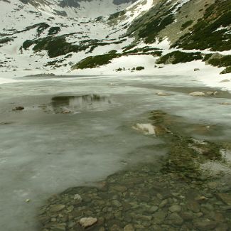 Skalnaté pleso