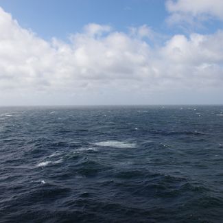 Norwegian Sea