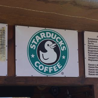 StarDucks Coffee